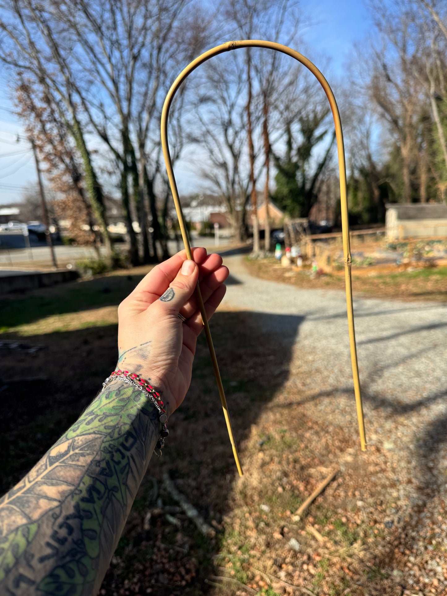 16” bamboo hoop trellis