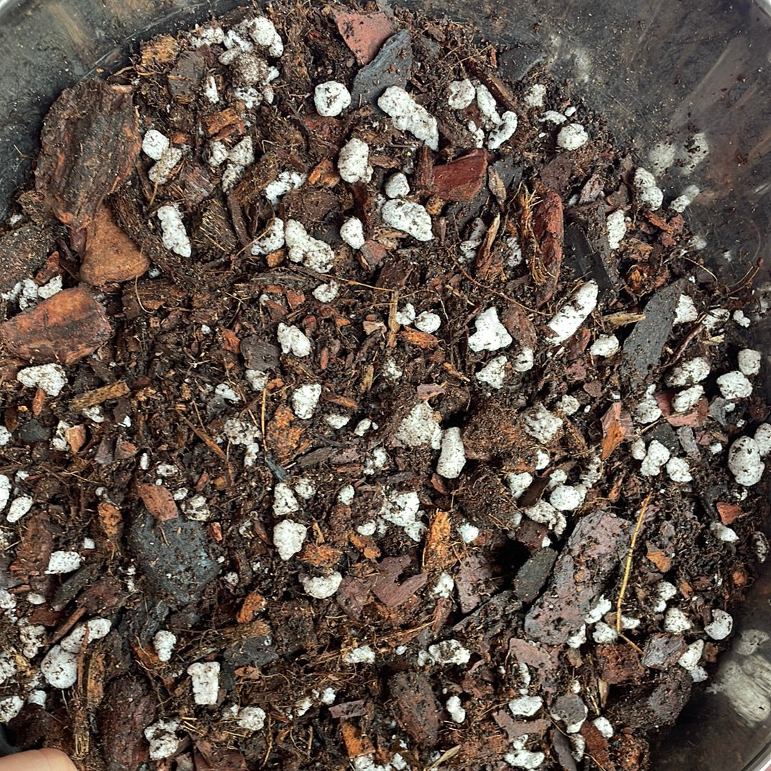 Chunky soil-less blend 1 gal/4 qt – Priest's Plant Paradise