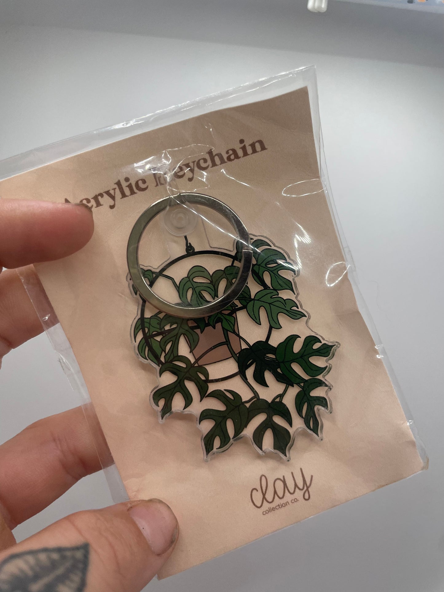 Raphidaphora Tetrasperma Acrylic Keychain