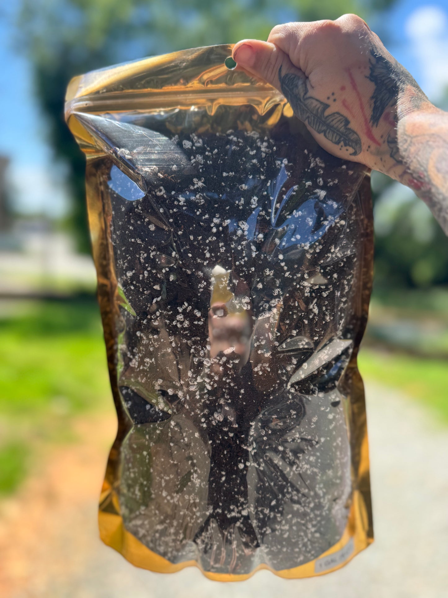Chunky soil-less blend