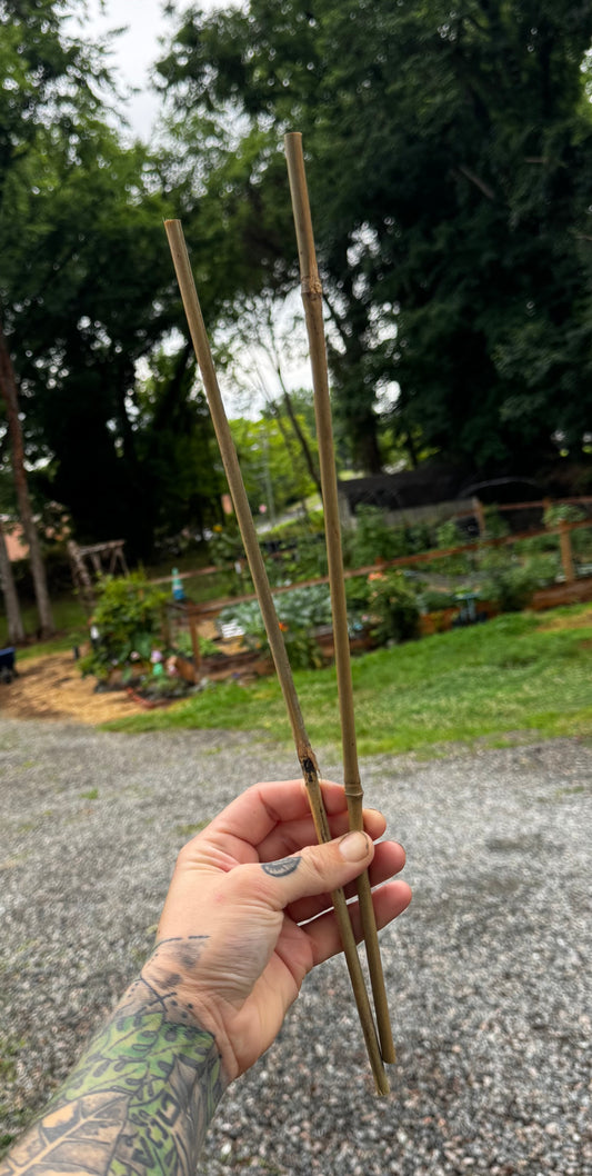 16” Vertical Bamboo Plant Stake
