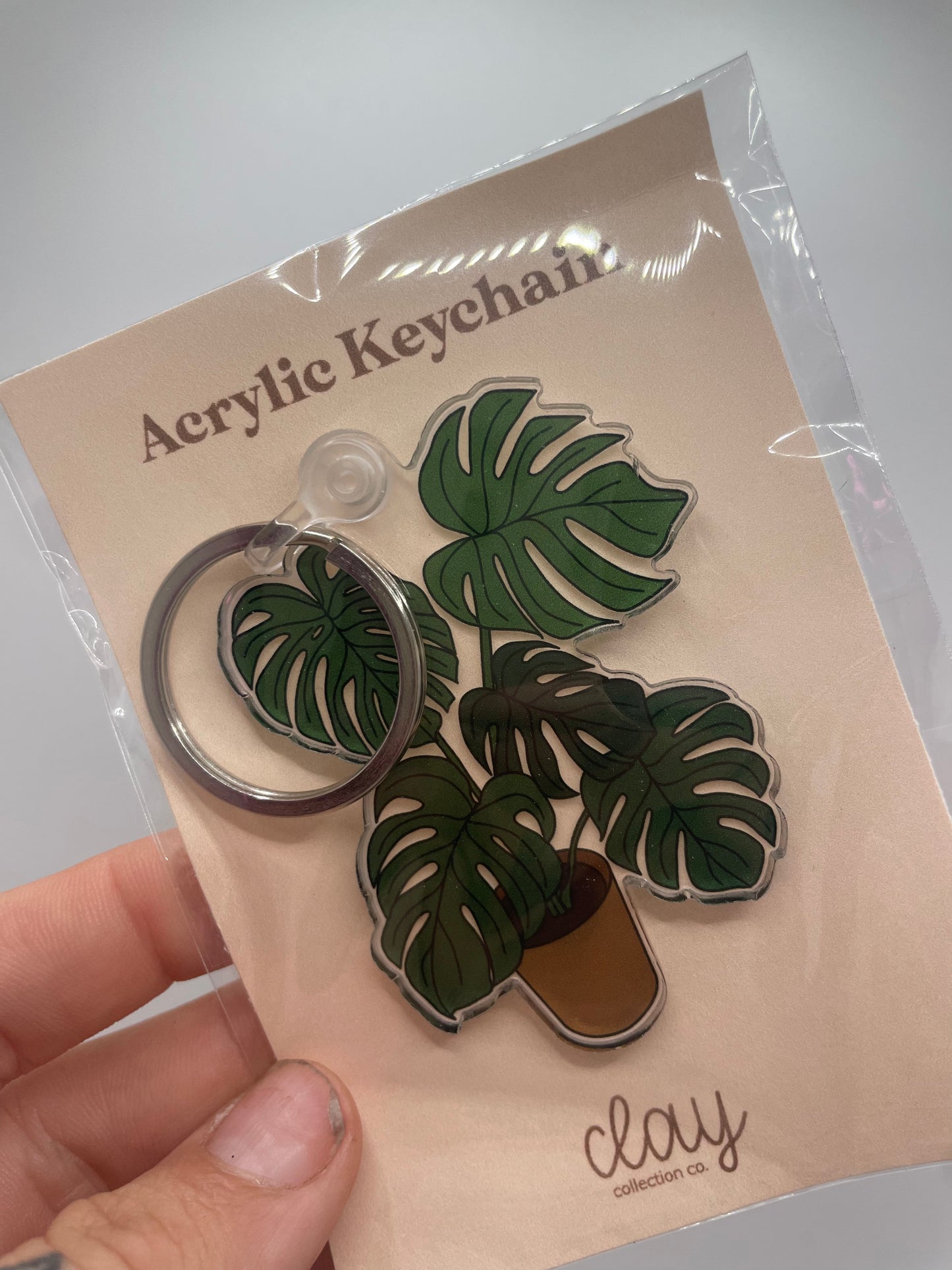 Monstera Deliciosa Acrylic Keychain