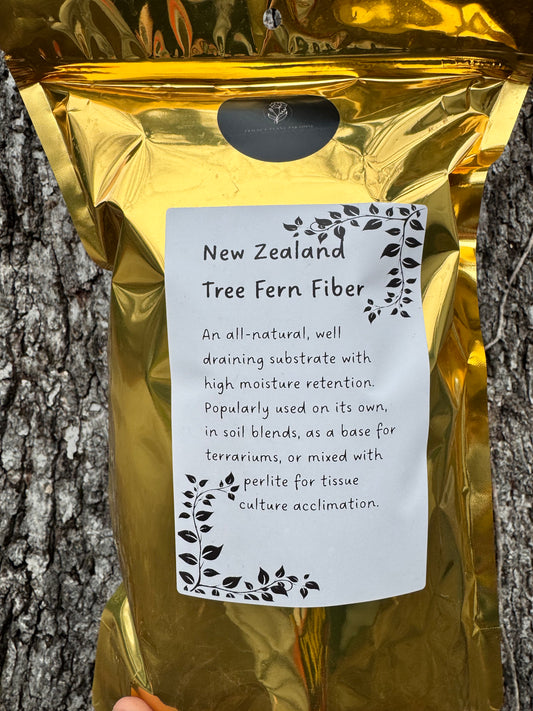 New Zealand Tree Fern Fiber