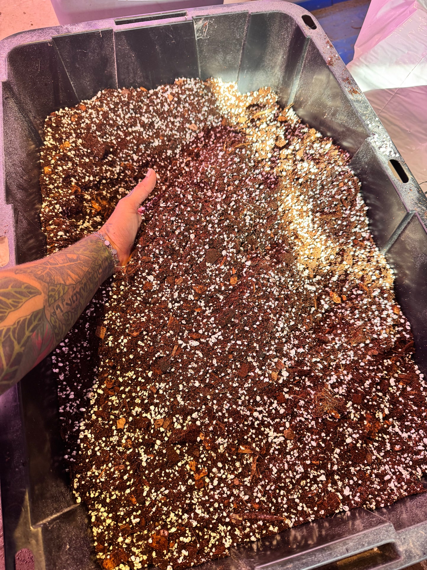 Chunky soil-less blend